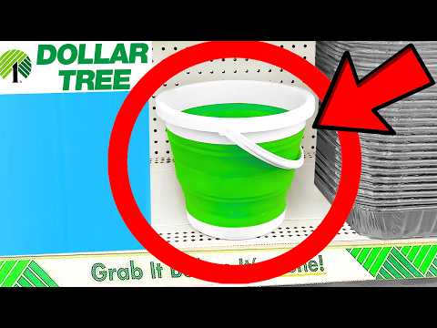 10 Things You SHOULD Be Buying at Dollar Tree in January 2026