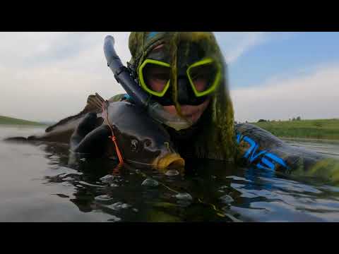 Подводная Охота - Как найти Карпа в пруду! 4 Простых и Эффективных совета для Начинающих и Опытных.