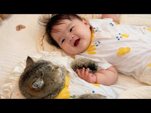 When a Cat Sat Beside the Baby… Something Sweet Happened 😺