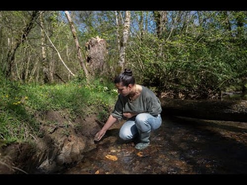 Ceramic Review Masterclass: Leela Chakravarti