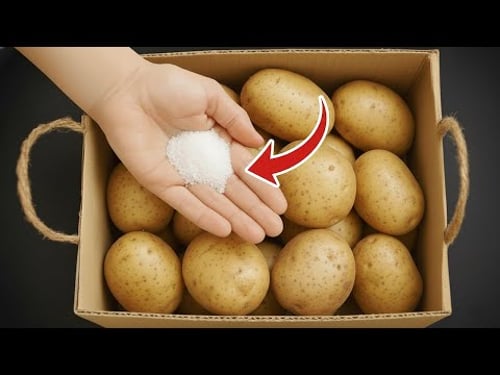 Don’t waste potatoes – my grandma’s 3 super effective storage methods!