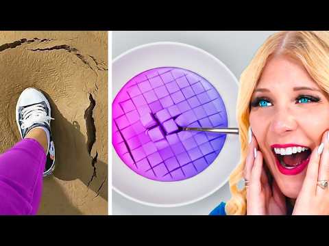 Worlds Most SATISFYING Videos!