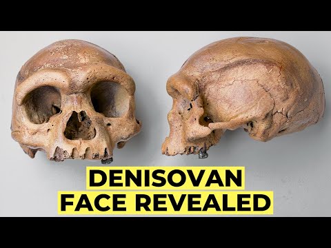 Ancient DNA Finally Reveals the REAL Face of Denisovans