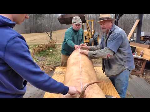 Old Timey Traditional Appalachian Hog Killing