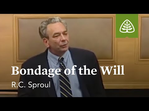 Bondage of the Will: Willing to Believe with R.C. Sproul