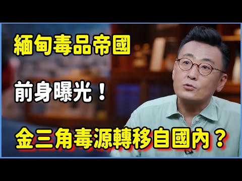 緬甸毒品帝國前身曝光!金三角毒源轉移內幕 #圆桌派 #窦文涛 #脱口秀 #真人秀 #圆桌派第七季 #马未都