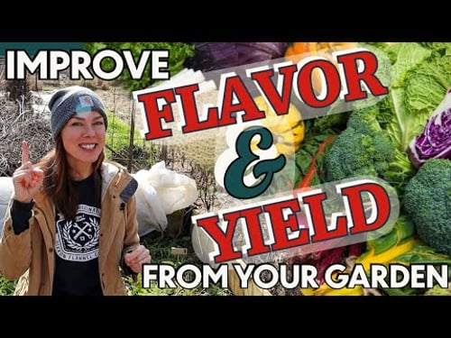 How to Get the Best Flavor & Yields From Your Garden!