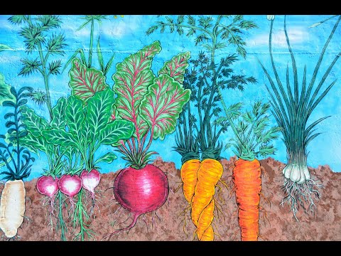 Советы как ускоренно формировать и улучшить плодородие почвы