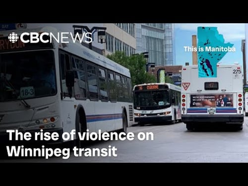 Violence on Winnipeg Transit is way up. What's the city doing about it?