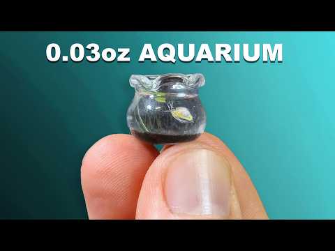 I Grew An Animal In The World's Smallest Aquarium