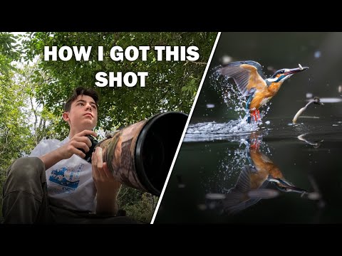 Photographing Kingfishers in Tokyo | Canon R7