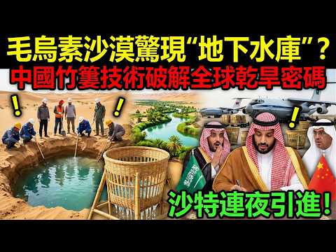 地表 62℃卻埋地下水?中國治沙黑科技成本低到聯合國都點贊!