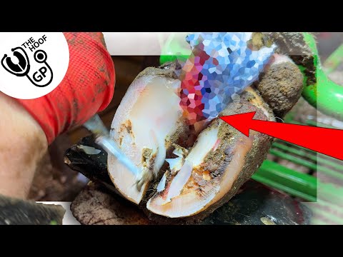 what's under here is INCREDIBLE ... & we've NEVER seen this before!!!!!