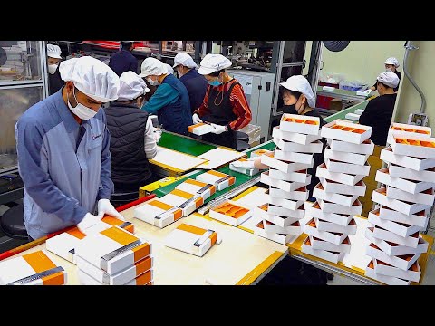 Paper Packaging Factory in Korea That Machines Make Atomatically