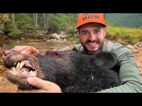 2 Days Hunting Big Black Bear in North Carolina!