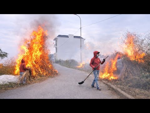❤️ We Cleaned a Dirty Sidewalk Before Christmas — Humanity Still Exists