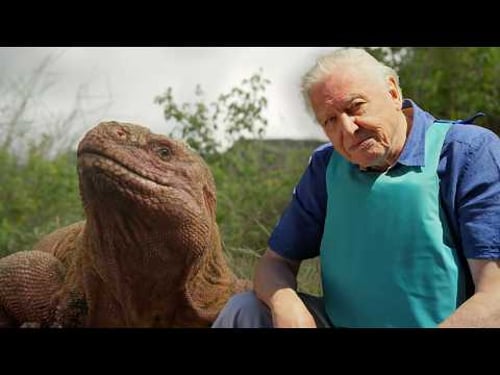 The Evolution of Life with David Attenborough (4K Documentary)
