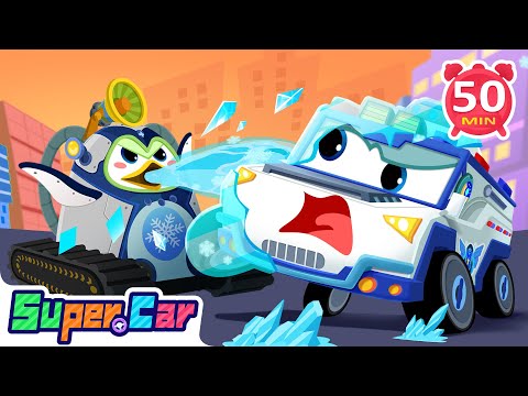 冰企鵝大作戰 🐧❄️ | 極地冒險任務! | 團隊合作 | 動物科普啟蒙|LEFUN Kids TV