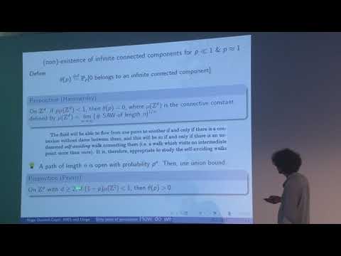 Sixty years of percolation – Hugo Duminil-Copin – ICM2018