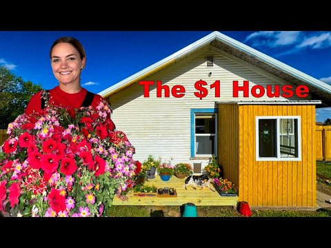 My $1 House: Backyard Glow-Up + Doggy Deck