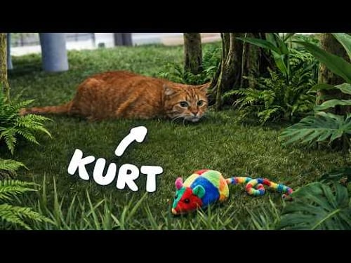 I Brought the Outside World to My Indoor Cats