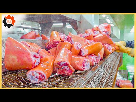 300 Food Industry Machines That Are At Another Level βΆ27