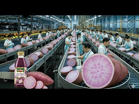Inside a High-Tech Purple Sweet Potato Jam Factory: Complete Process From Start to Finish