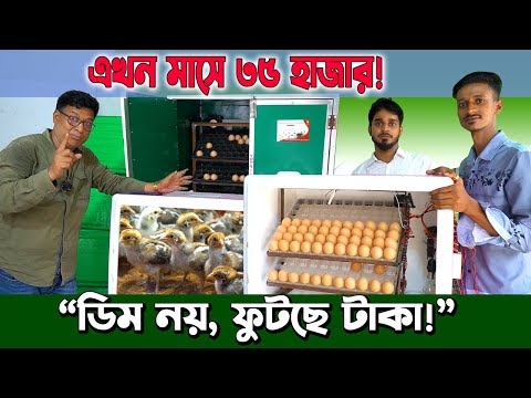 ৭ হা*জার টা*কার ইনকিউবেটর দিয়ে মাসে ৩০ হা*জার! ডিম ফুটানোর মেশিনেই লুকিয়ে আছে টা_কার খনি!