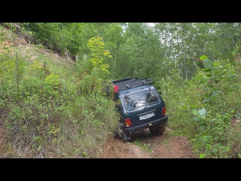 Триал на ниве