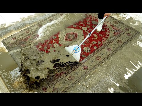 $15,000 Persian Rug Buried in Mud – You Won’t Believe the Final Reveal! - Carpet Cleaning ASMR