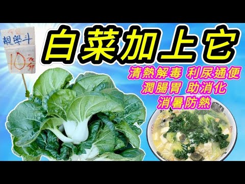 上湯白菜💞加一物💞 出面食要$100😬 自己煮$20😁 簡單方便又有益😋 晚飯😁 開飯路👍 有菜有湯🌿🥣 鮮甜無比😋快靚正♦️留言 附有 ♦️中英文翻譯程序 ♦️English Recipe ♦️