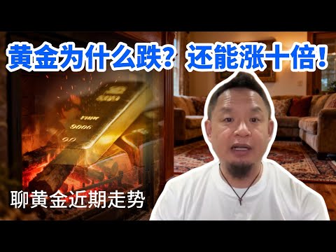 丨黄金暴跌解读丨未来十年黄金走势丨怎么买黄金