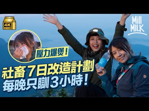 #MM|實測7天社畜改造計劃!Phoebe公認工作成癮 為工作唔飲水 唔摺衫 唔洗碗 雪櫃發臭!挑戰日本3小時短眠法 + Elon Musk馬斯克5分鐘時間管理法|#試一次 #4K