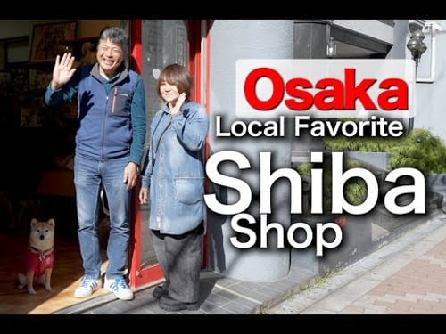 Shiba Inu shop frequently visited by locals in Osaka