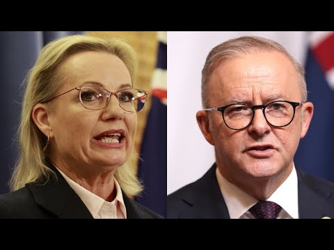 ‘Power prices still on the rise’: Australia’s energy debate continues