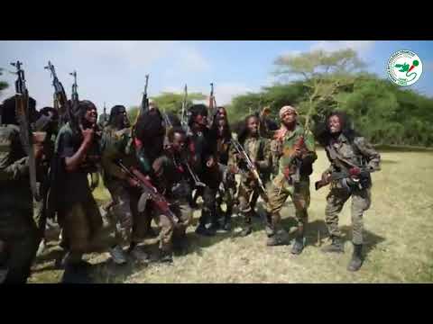 የነፃነት ጮራ ONM-ABO ታህሳስ 17፣ 2025