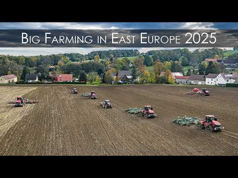🇩🇪 Big Farming in East Europe 2025 - Farming XXL - BEST OF 🇨🇿 🇵🇱 🇩🇰 ▶ Agriculture Germanyy