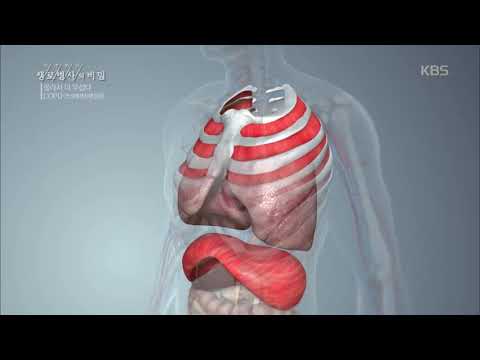 생로병사의 비밀 - 돌이킬 수 없는 폐 건강, 방법은 근육 강화?!.20191204