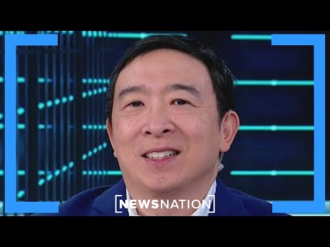 New AI tool disrupting business was quietly developed for years: Andrew Yang | NewsNation Live