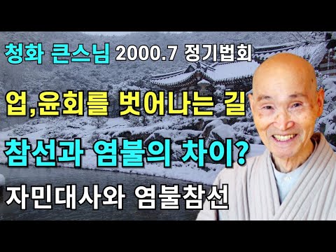 업과 윤회를 벗어나는 길 참선과 염불은 둘이 아닙니다 | 자민삼장과 염불참선 | 청화스님 법문 20000702 성륜사정기법회
