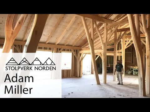 American Scribe rule | Adam Miller