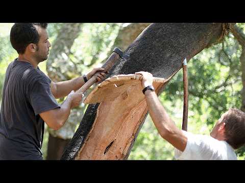 How Millions Of Wine Corks Are Made Every Day