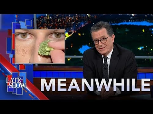 Meanwhile... NASCAR Fight | Broccoli Freckles | Cocaine Avocados | Florida's Fat Gator