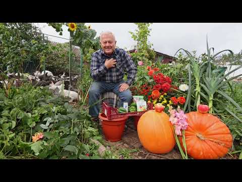 Как вам правильно и быстро избавиться от болезней и вредителей на своих растениях.