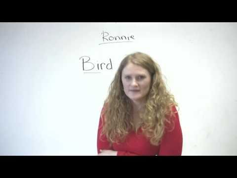 Pronunciation - Words starting with B (bird, beard, bear, bare...)