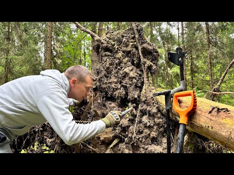 THIS FIND IS INCREDIBLE LUCK FOR US!!!!!