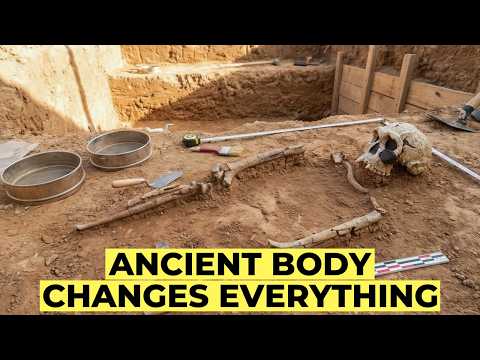 New Skeleton Evidence Rewrites the Homo Habilis Timeline