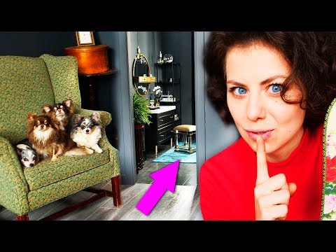 КТО ЖИВЕТ В ВАННОЙ? ТЁМНАЯ СТОРОНА ДОМА КУДА НЕЛЬЗЯ КОШКЕ ХАУС ТУР С СОБАКАМИ