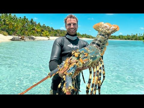 MORE THAN JUST A CATCH & COOK (Stoner Dolphins, Tiger Sharks & Night Dive!)