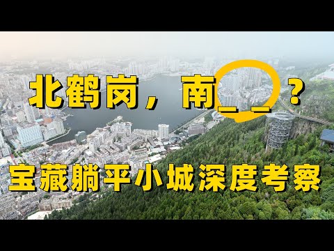 南方“鹤岗”,被严重低估的宝藏小城,3000美刀一套房考察~